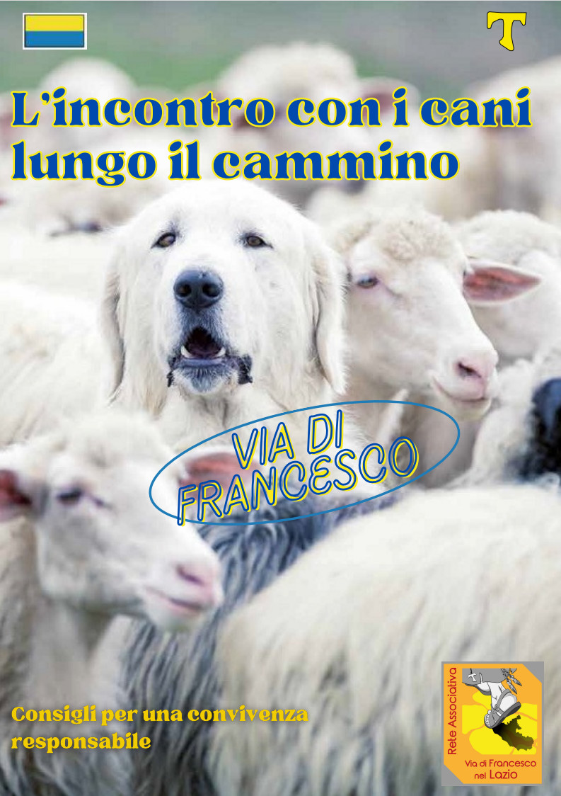 copertina incontro con i cani lungo il cammino